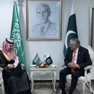 وزير الخارجية ونظيره الباكستاني يناقشان التطورات بالمنطقة وعلى رأسها مستجدات غزة