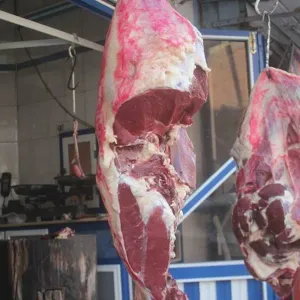 نقيب الجزارين المصريين: هدوء في سوق اللحوم.. وهذا سبب تفاوت الأسعار