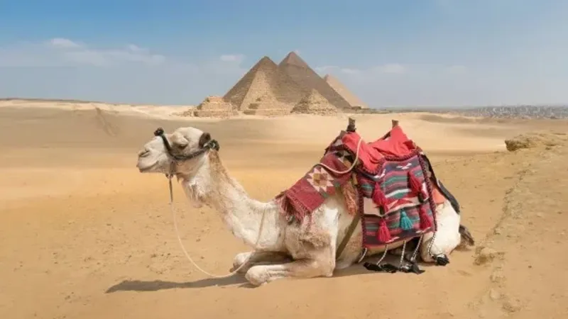 إيرادات السياحة في مصر تصل إلى 6.6 مليار دولار خلال النصف الأول