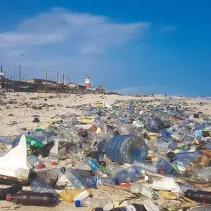 أكثر من 84 بالمائة من النفايات في البيئة الساحلية هي من البوليمرات الاصطناعية وخاصة البلاستيك