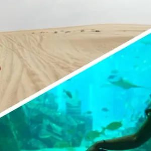 في دبي.. الكشف عن خطط "أكبر مشروع لإحياء السواحل في العالم"