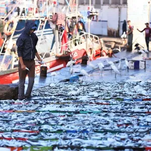 "رابطة الصيد" تنادي بتقوية معايير السلامة البحرية وحماية الثروة السمكية بالمغرب