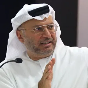 المستشار الرئاسي الإماراتي يتنقد تصرفات دولة عربية