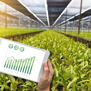 تعاون قطري كوري في الزراعة الذكية