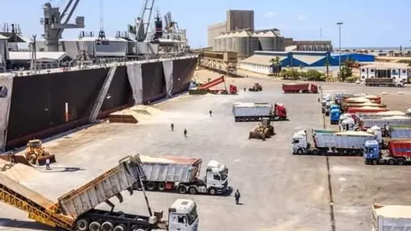 ميناء دمياط: حركة الوارد من البضائع العامة 66 ألف طن تشمل 17 طن قمح