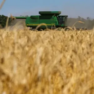 روسيا تحكم سيطرتها على سوق الحبوب مع ارتفاع أسعار القمح