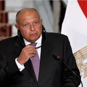 وزير خارجية مصر يشارك باجتماع وزاري عربي مع الرئيس الفرنسي بشأن غزة