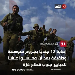 جيش الاحتـ.ـلال الإسرائيلي يعلن إصابة 12 جنديا بجروح متوسطة وطفيفة بعد أن دهسوا عشا للدبابير جنوب قطاع غزة  #قناة_الغد