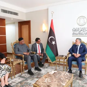 «الدولة» الليبي يبحث مع نائبة المبعوث الأممي أسباب الأزمة السياسية