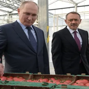 بوتين يوعز بوضع تدابير إضافية لدعم المنتجين الزراعيين
