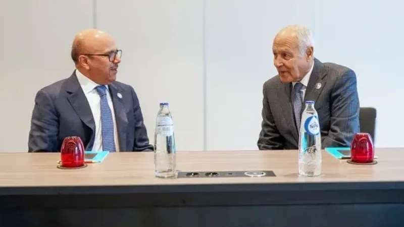 الزياني وأبوالغيط يبحثان في بروكسل تنفيذ مبادرات القمة العربية