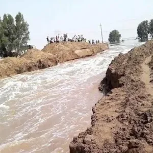 إجراءات احترازية بالمناطق الحدودية شرق العراق لحماية محصول الحنطة من الأمطار
