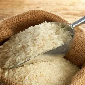 أهم الأخبار| انهيار أسعار الأرز الشعير.. ارتفاع ملحوظ في درجات الحرارة وسقوط شجرة على دوللي شاهين