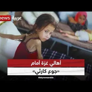 الأمم المتحدة: نحو نصف مليون من أهالي قطاع غزة يواجهون جوعا كارثيا