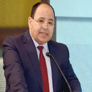 وزير المالية المصري: لا زيادة في أسعار أو شرائح الضريبة على الدخل