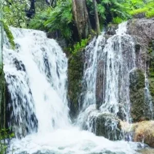 عين طبرق بطاقة .. روعة الطبيعة ودهشة الجمال