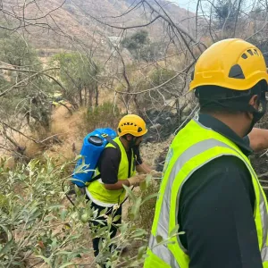 الدفاع المدني بميسان يخمد حريقًا في أشجار وأعشاب بمنطقة جبلية دون إصابات
