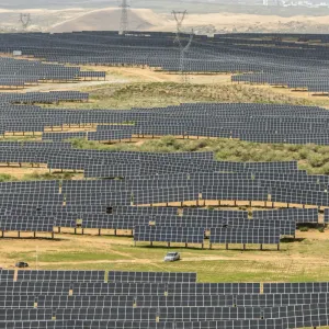نجاح الطاقة الشمسية نقمة على المصنعين في الصين