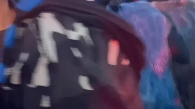 جنون جماهير إنتر ميلان  الجماهير قامت بصبغ بقرة بألوان النادي أثناء الاحتفال بلقب الدوري