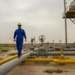 والي وهران : استحداث 12 ألف منصب قريباً في مشروع البتروكيماويات الضخم في أرزيو
