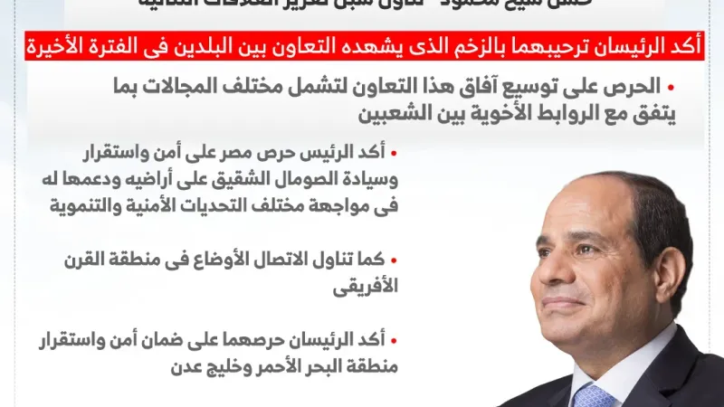 الرئيس السيسى يؤكد حرص مصر على أمن واستقرار وسيادة الصومال (إنفوجراف)