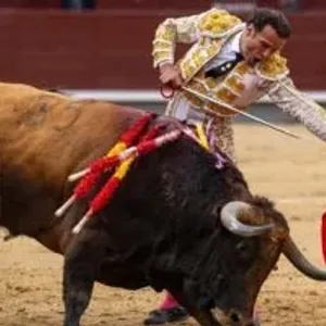 كولومبيا تحظر مصارعة الثيران فى جميع أنحاء البلاد