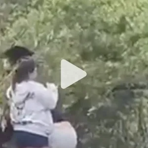 من أجل صورة "سيلفي".. فيديو يظهر تصرفا خطيرا لأشخاص قرب مجموعة دببة في أمريكا