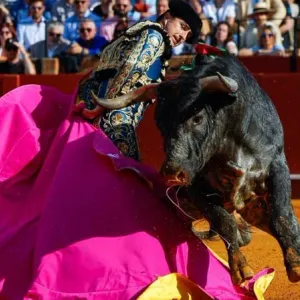 مصارعة الثيران: إسبانيا تطوي صفحة تقليد عمره مئات السنين