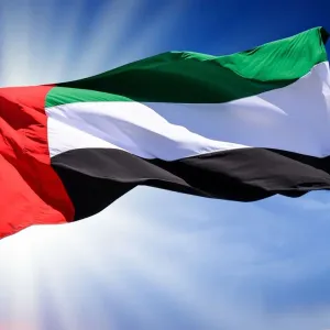 الإمارات تشدد على ضرورة وضع حد لسفك الدماء في غزة