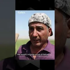 Reservoir Repairs Reinstate Farming In Syria