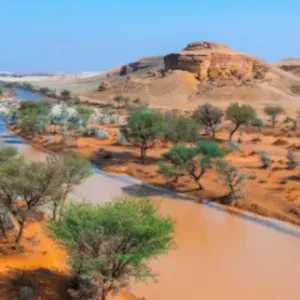 محمية الملك عبدالعزيز الملكية تُشارك اليوم في منتدى المحميات الطبيعية