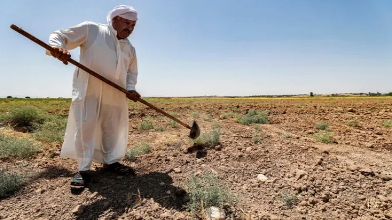 الزراعة النيابية تتحدث عن قانون يمنح الفلاحين حق إقامة المشاريع