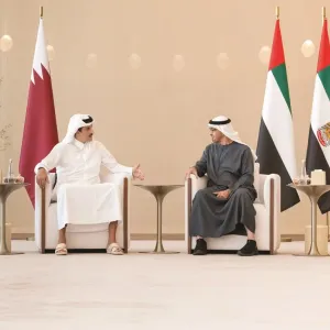 محمد بن زايد وتميم بن حمد: الإمارات وقطر تدعمان المبادرات الهادفة لوقف التصعيد وحماية المدنيين