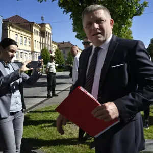 فيديو. لحظة إطلاق النار على رئيس وزراء سلوفاكيا وإلقاء القبض على المهاجم