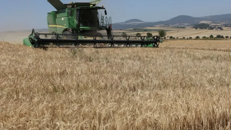 تراجع حاد لإنتاج الحبوب في المغرب بسبب الجفاف