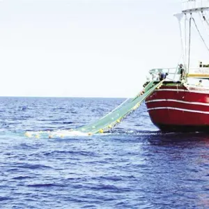 قراران بحظر الصيد ومنع تداول أسماك البحر الأحمر بالمطاعم والأسواق لمدة شهرين ونصف