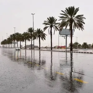 دراسة لمركز الأرصاد: وتيرة هطول الأمطار ستزداد في جميع أنحاء المملكة
