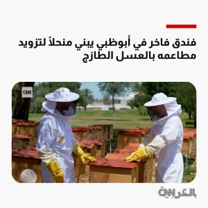 فندق فاخر في أبوظبي يبني منحلًا لتزويد مطاعمه بالعسل الطازج https://cnn.it/4bbPHkU