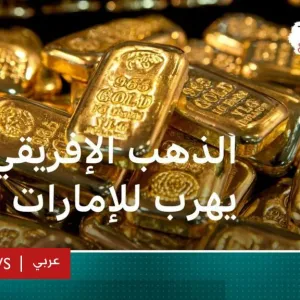 الذهب الإفريقي يهرب في الإمارات