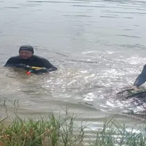 فظيع: غرق شخص ببحيرة جبلية بجهة حمام بورقيبة..