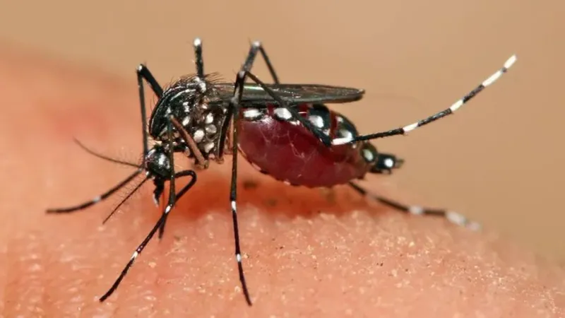 وزارة الصحة.. الجزائر لم تسجل أي حالة إصابة محلية بالملاريا