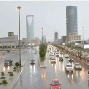 طقس المملكة الأربعاء.. استمرار هطول أمطار رعدية مصحوبة برياح نشطة على عدة مناطق