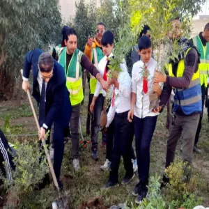 البيئة العراقية تطلق حملة وطنية كبرى لزراعة الأشجار