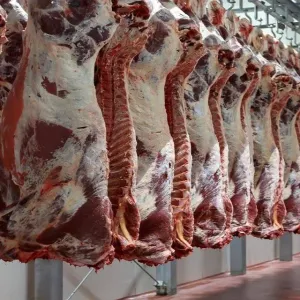شعبة القصابين بمصر: إذا حدثت حملات مقاطعة للحوم سينخفض سعرها 30%