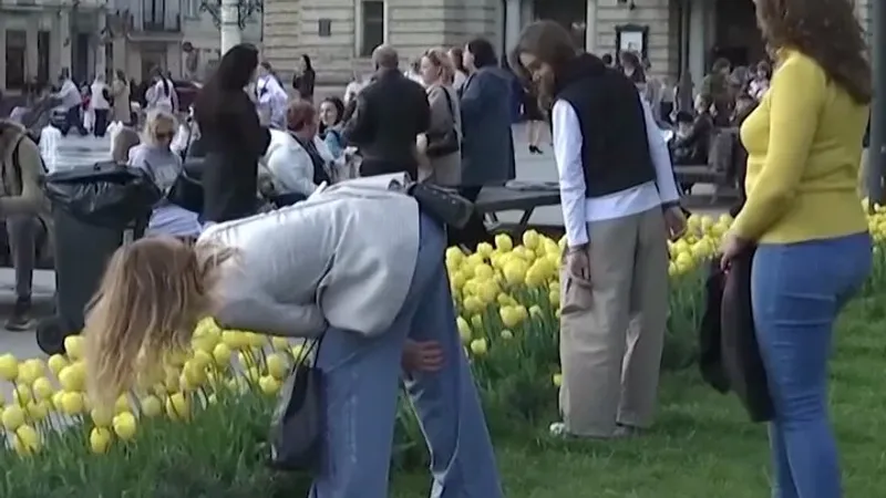 مدينة لفيف الأوكرانية تزرع 100 ألف زهرة توليب أهديت لها من هولندا