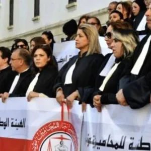 الفرع الجهوي للمحامين بتونس يعلن الدخول في إضراب عام جهوي للمحامين بداية من يوم الاثنين المقبل