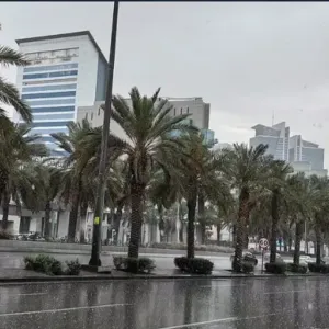 هطول أمطار متفاوتة الكميات على أجزاء من الرياض