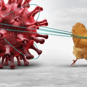 بعد أول وفاة بشرية بانفلونزا الطيور... هل الانتشار الوبائي الواسع مستبعد؟