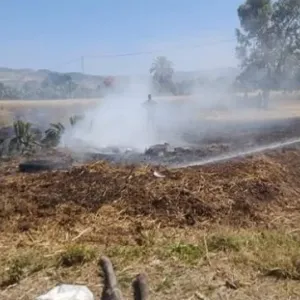 السيطرة على حريق نشب في أحد حقول القمح بجندوبة
