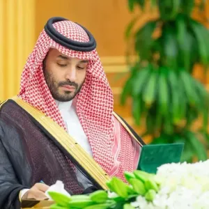 مجلس الوزراء السعودي يوافق على قواعد تأسيس الشركات والمشاركة فيها